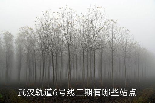 武漢軌道6號線二期有哪些站點