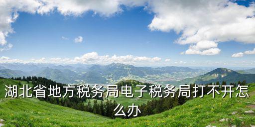 湖北省地方稅務局電子稅務局打不開怎么辦