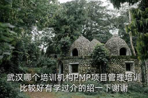 武漢哪個(gè)培訓(xùn)機(jī)構(gòu)PMP項(xiàng)目管理培訓(xùn)比較好有學(xué)過介的紹一下謝謝