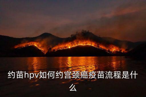 約苗hpv如何約宮頸癌疫苗流程是什么