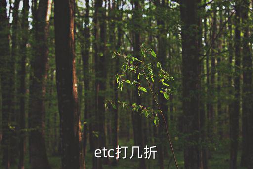 etc打幾折
