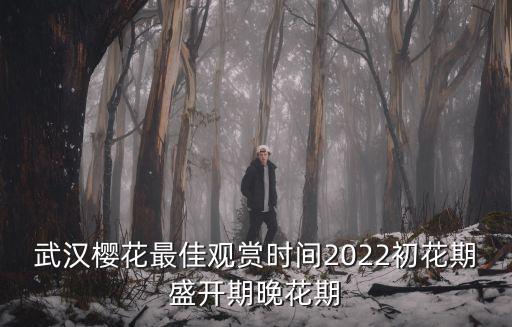 武漢櫻花最佳觀賞時間2022初花期盛開期晚花期
