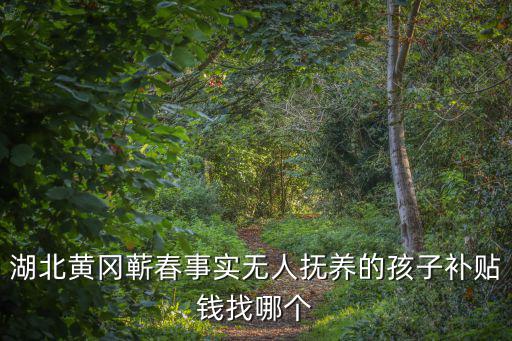 離蘄春申請(qǐng)表，2016蘄春重度殘疾人如何申請(qǐng)低保
