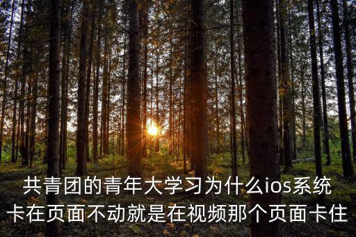 共青團的青年大學習為什么ios系統卡在頁面不動就是在視頻那個頁面卡住