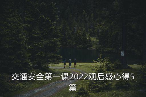 交通安全第一課2022觀后感心得5篇