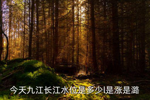 長江水位實時水情表，長江的水位一般是多少
