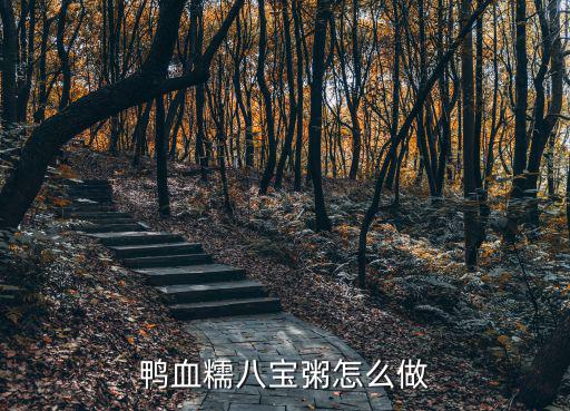 鴨血糯八寶粥怎么做