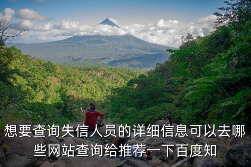 想要查詢失信人員的詳細信息可以去哪些網站查詢給推薦一下百度知