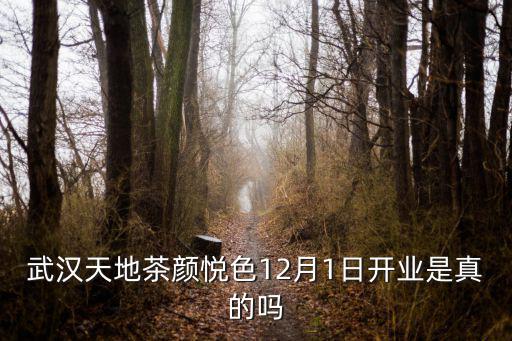 武漢天地茶顏悅色12月1日開業是真的嗎