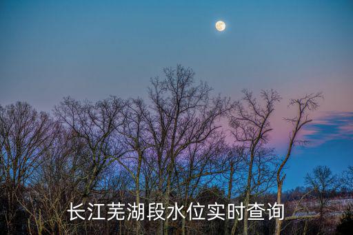 長(zhǎng)江蕪湖段水位實(shí)時(shí)查詢