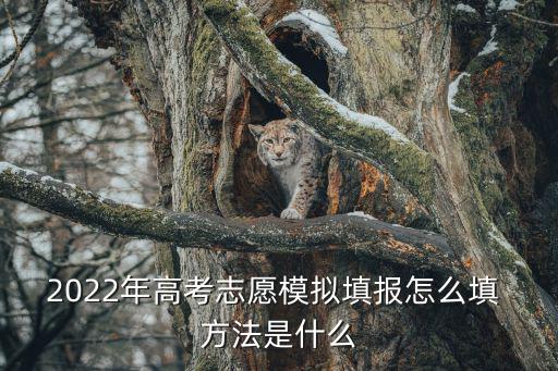2022年高考志愿模擬填報怎么填 方法是什么
