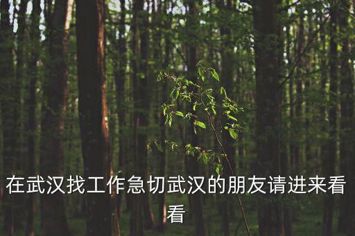 在武漢找工作急切武漢的朋友請進來看看