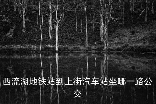 西流湖地鐵站到上街汽車站坐哪一路公交