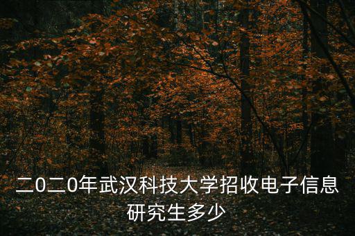 二0二0年武漢科技大學(xué)招收電子信息研究生多少