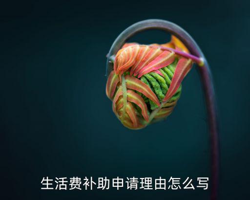 生活費(fèi)補(bǔ)貼，生活補(bǔ)助費(fèi)算不算勞動(dòng)報(bào)酬