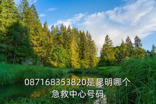 087168353820是昆明哪個急救中心號碼