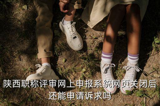 職稱評定網上申報系統，河北省2022年高級職稱評審通過什么系統上報