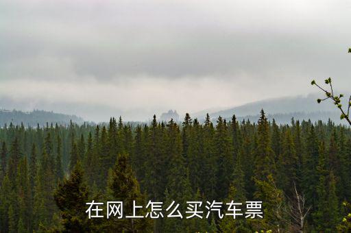 汽車網上購票，汽車票怎么網上訂票