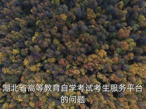 湖北省高等教育自學考試考生服務平臺的問題