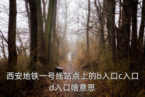 西安地鐵一號線站點(diǎn)上的b入口c入口d入口啥意思