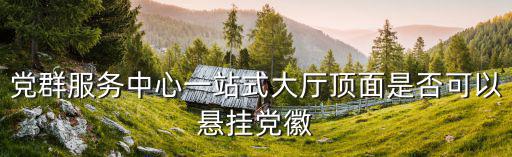 黨群服務(wù)中心一站式大廳頂面是否可以懸掛黨徽