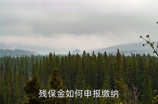 殘保金如何申報繳納