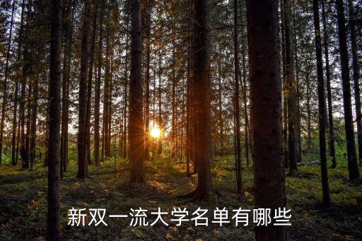 新雙一流大學(xué)名單有哪些