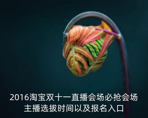 雙十一直播會場，2016淘寶雙十一直播會場必搶會場主播選拔時間以及報名入口