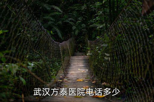 武漢方泰醫院電話多少