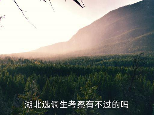 湖北選調生考察有不過的嗎