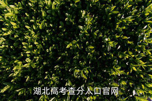 湖北高考查分入口官網