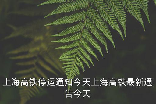 上海高鐵停運(yùn)通知今天上海高鐵最新通告今天