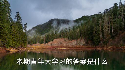 本期青年大學習的答案是什么