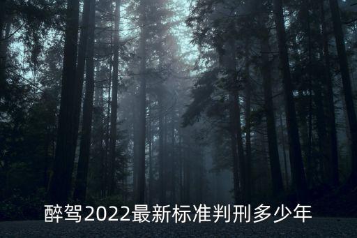 醉駕2022最新標準判刑多少年