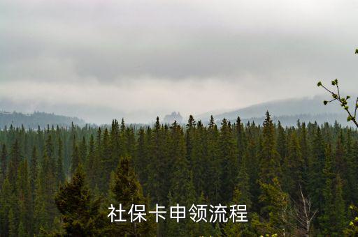 社保卡申領(lǐng)流程