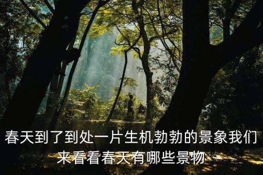 春天到了到處一片生機勃勃的景象我們來看看春天有哪些景物