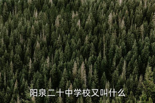 陽(yáng)泉二十中學(xué)校又叫什么