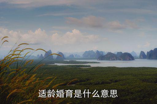 適齡婚育是什么意思