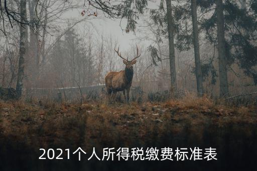 2021個人所得稅繳費標準表