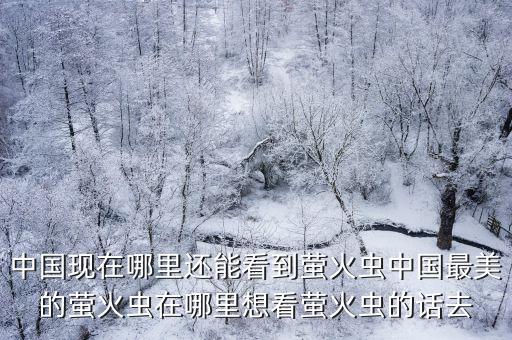 中國現(xiàn)在哪里還能看到螢火蟲中國最美的螢火蟲在哪里想看螢火蟲的話去