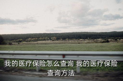 醫(yī)療保險(xiǎn)查詢，我的醫(yī)療保險(xiǎn)怎么查詢 我的醫(yī)療保險(xiǎn)查詢方法