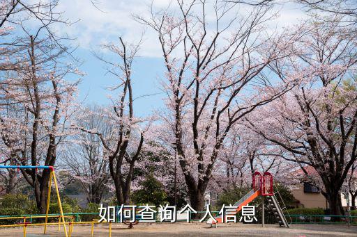 查個(gè)人信息怎么查，西安市個(gè)人房產(chǎn)信息怎么查