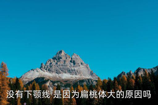 沒有下顎線 是因為扁桃體大的原因嗎