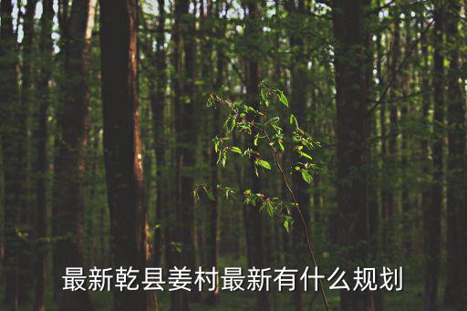 最新乾縣姜村最新有什么規劃