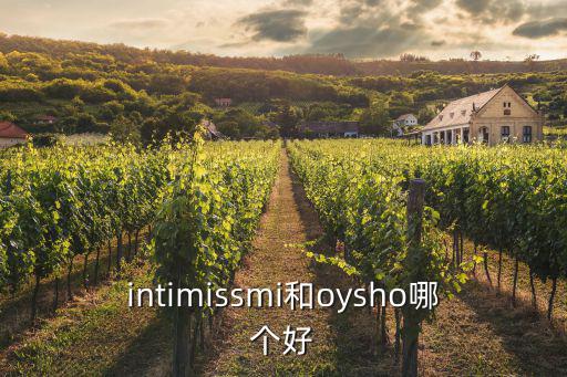 intimissmi和oysho哪個好