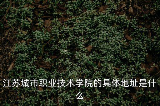 江蘇城市職業(yè)技術(shù)學(xué)院，江蘇城市職業(yè)技術(shù)學(xué)院的具體地址是什么