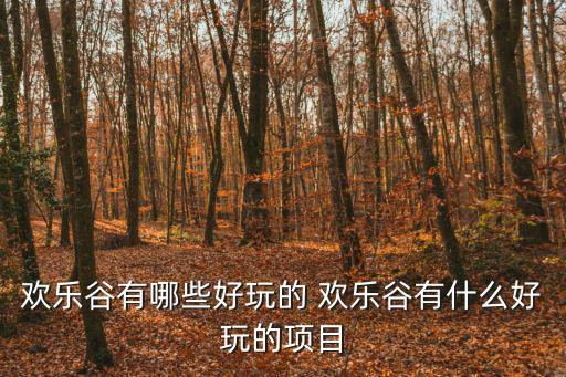 歡樂谷，歡樂谷有哪些好玩的 歡樂谷有什么好玩的項目