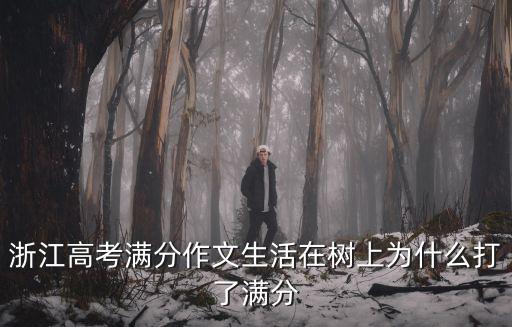 浙江高考作文，2022年浙江高考作文題出爐今年的題材作出了哪些創(chuàng)新