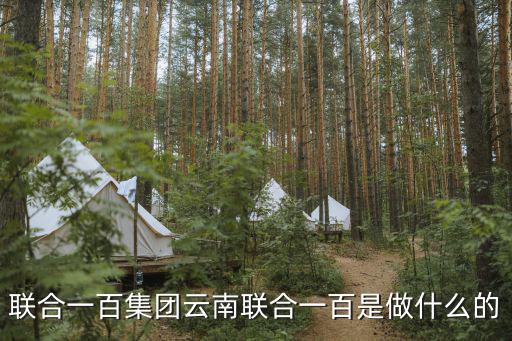 聯合一百集團云南聯合一百是做什么的