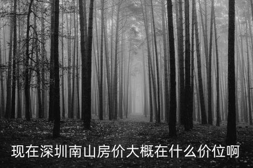 現在深圳南山房價大概在什么價位啊